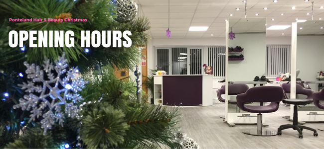 Christmas Period Opening Hours & Delivery Times